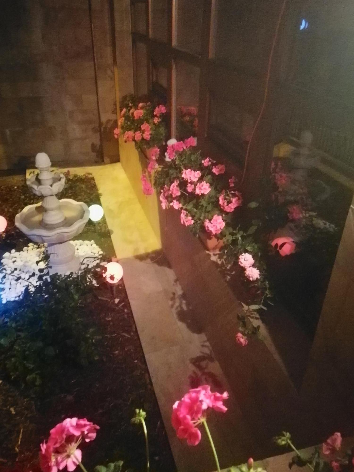 Barrandov 3 Homestay *